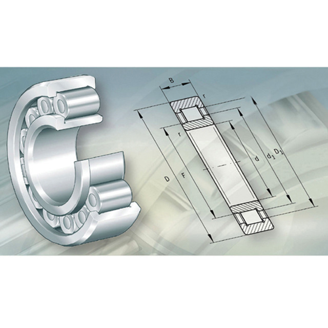 Zylinderrollenlager RNU 2206 ECP SKF